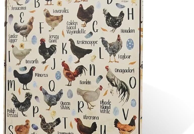 Chicken Decorative Metal Sign Home Decor Kitchen Dining Room Bedroom Living Room Nursery