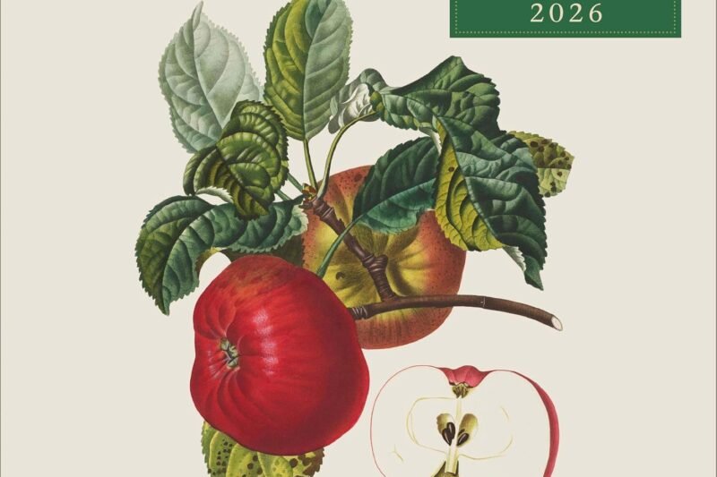 Fruits 2026 ‒ Broschürenkalender ‒ mit historischen Abbildungen alter Obstsorten von Pierre Antoine Poiteau ‒ Format 30 x 30 cm